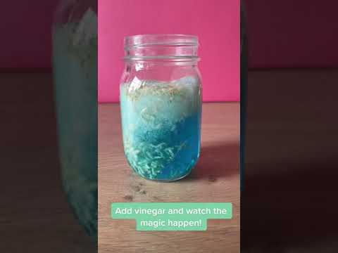 Dancing Rice | Fun Science Activity for Kids | #shorts