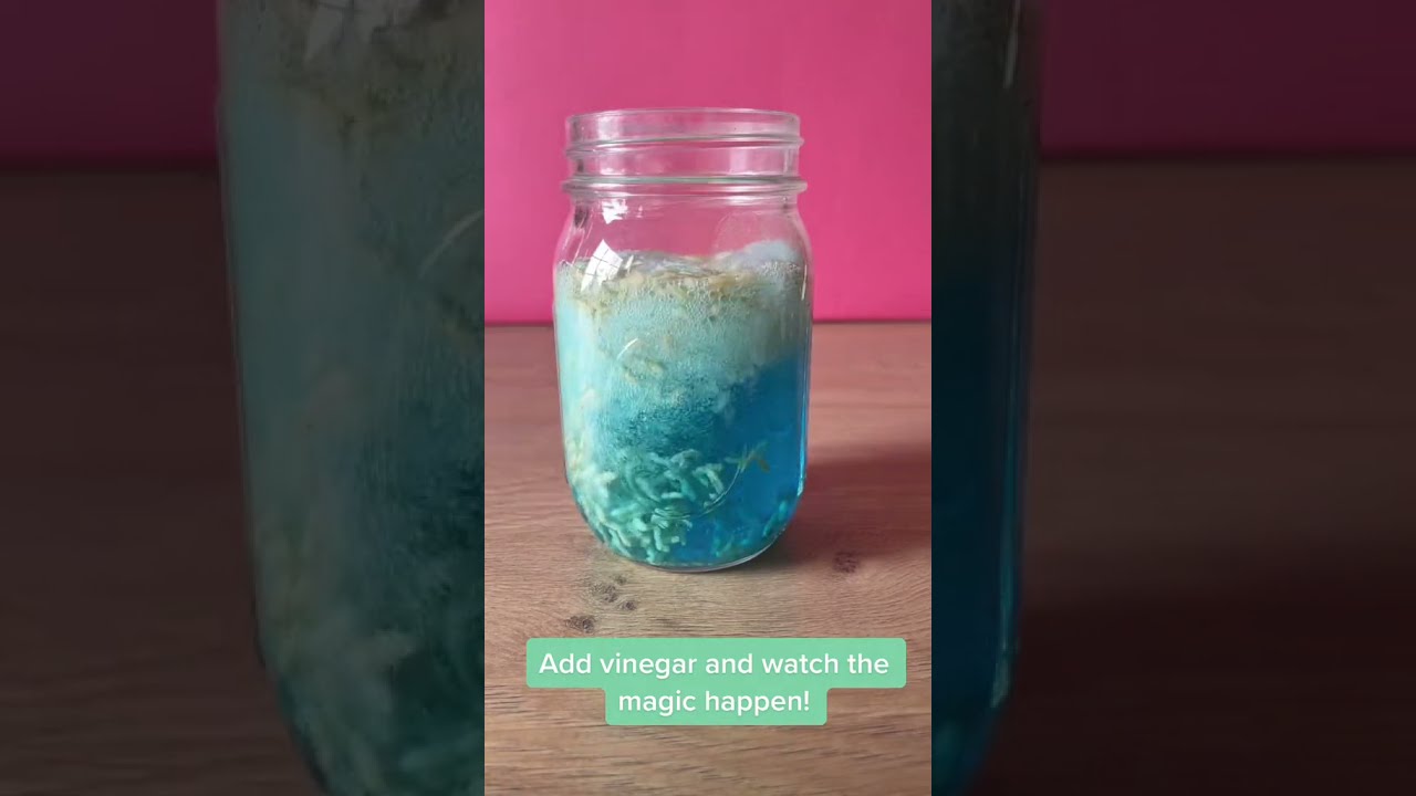 Dancing Rice | Fun Science Activity for Kids | #shorts