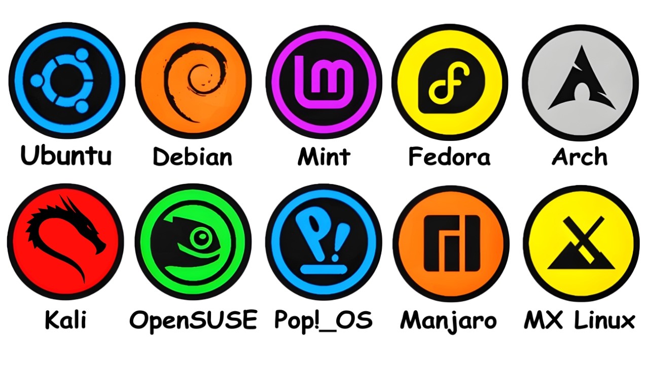 Linux Distro Breakdown in 17 Minutes 🚀