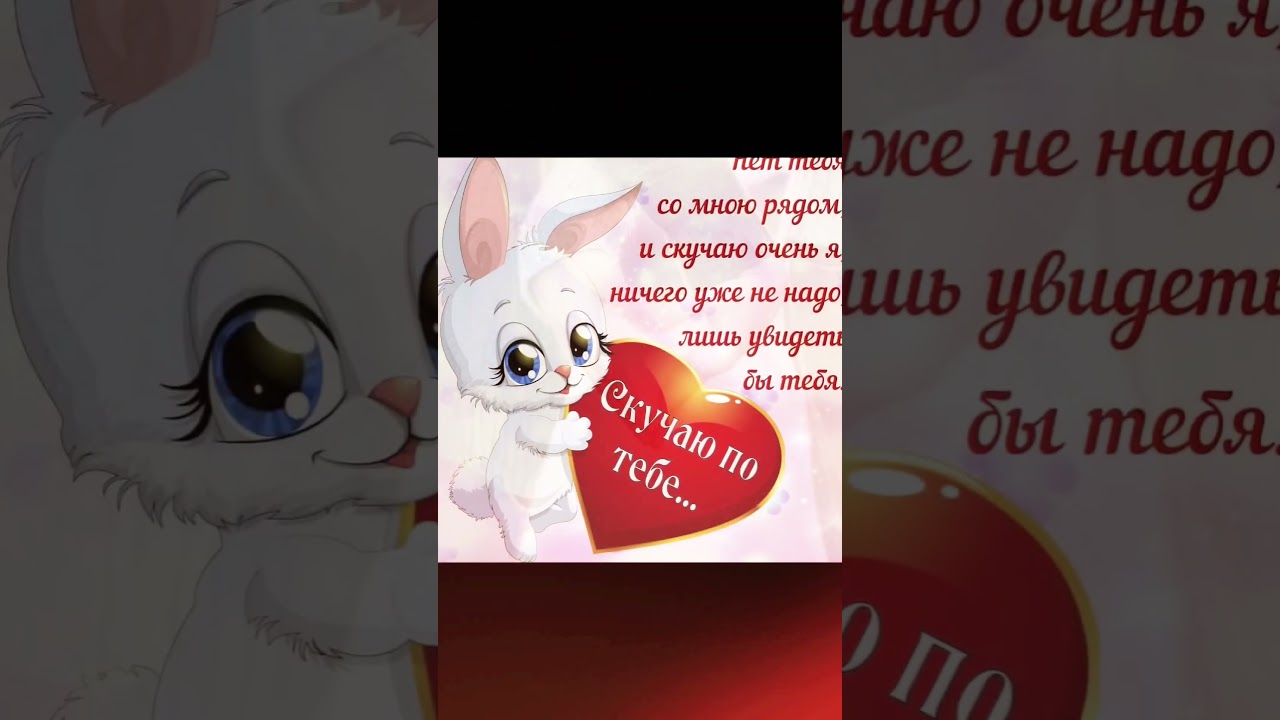 Семья и Россия: музыка и единство 🇷🇺