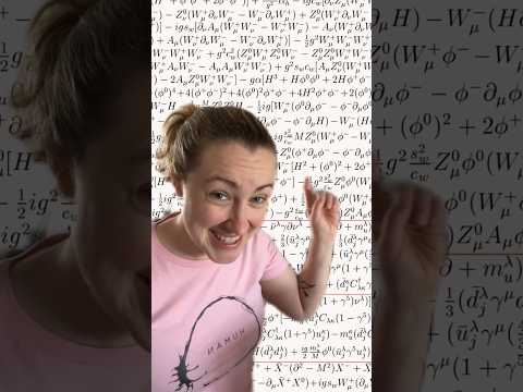 The Standard Model: as close to the theory of everything we can get #science