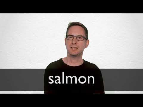 How to pronounce SALMON in British English
