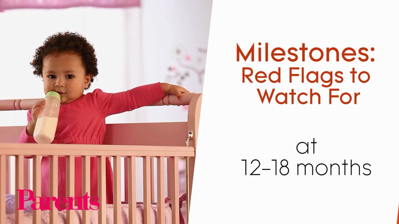 Milestones & Red Flags in 12-18 Months 🍼