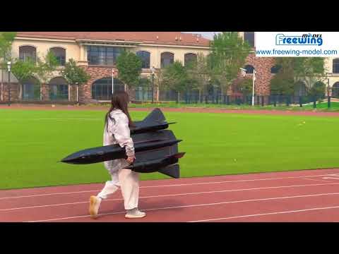 Freewing SR-71 Blackbird Twin 70mm EDF