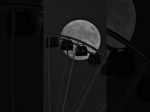 Shape of You - Ed Sheeran | lyrics | aesthetic | whatsapp Status | English songs | slowed | speed up