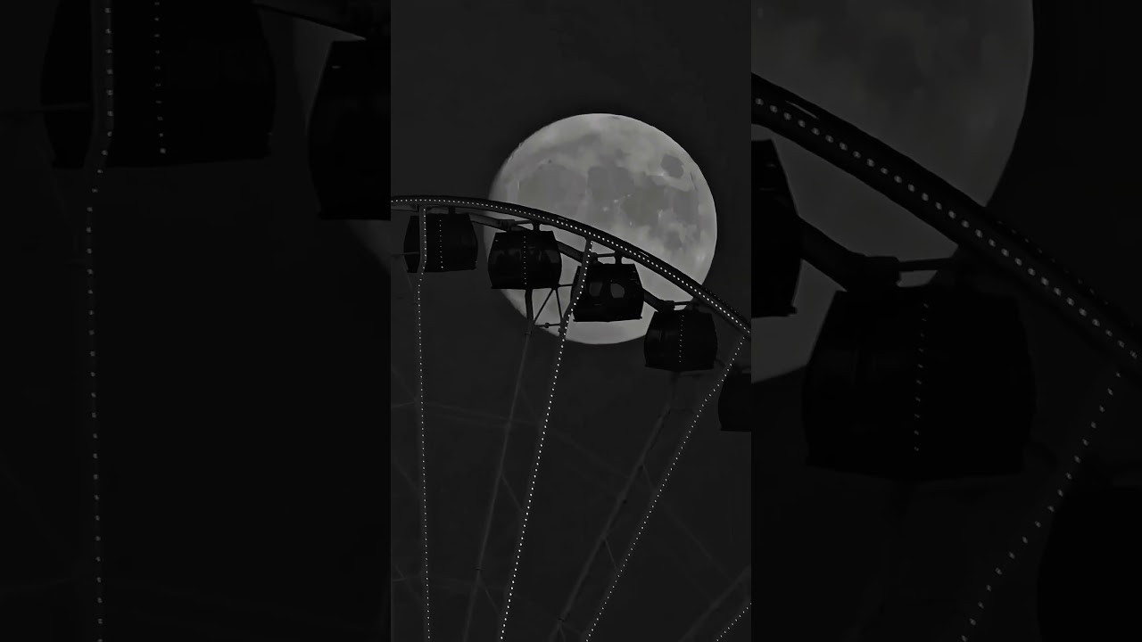 Shape of You - Ed Sheeran 🎶 | Aesthetic Lyrics & WhatsApp Status | Slow & Speed Up Versions