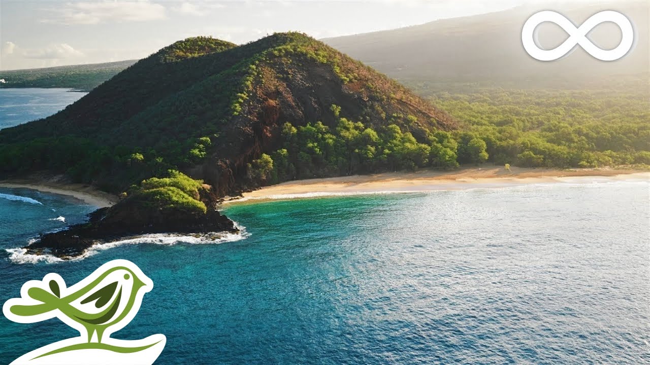 Relaxing Nature Music with Piano & Guitar 🎶