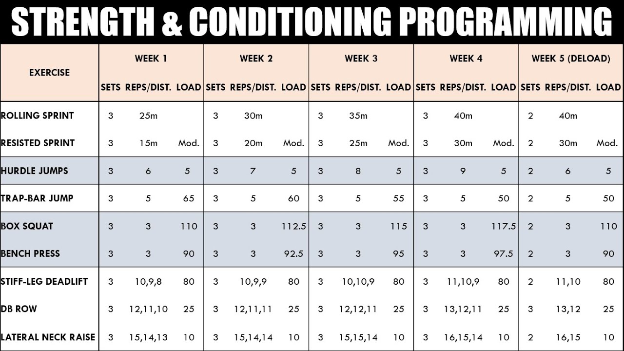 Create a Strength & Conditioning Program for Athletes 💪