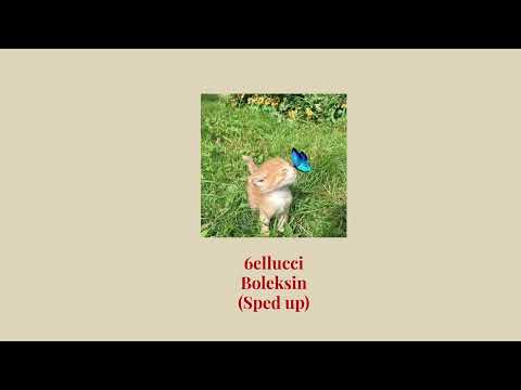 6ellucci - Boleksin | sped up | qxcat