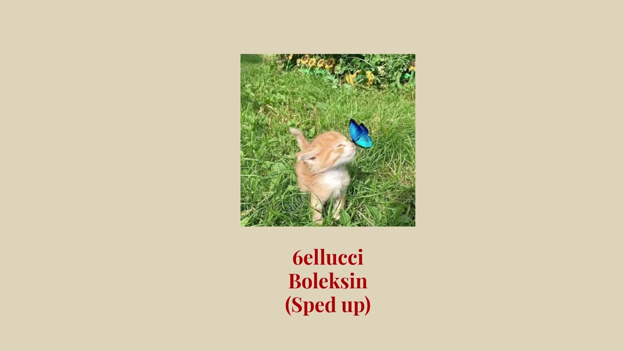 🔥 6ellucci - Boleksin (Speed Up Version) | qxcat Remix