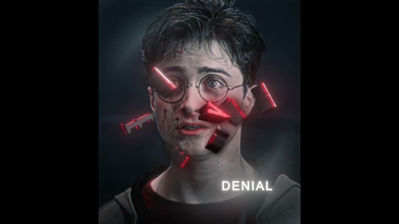 5 Stages of Grief | Harry & Sirius & Lindsey Stirling πΆ