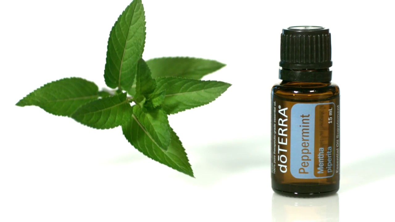 doTERRA Peppermint Oil Uses & Benefits 🌿