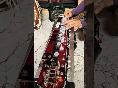 #banjomusic #instrumentalmusic #musiclovers #shorts #relaxingmusic #banjoshorts #feelgoodmusic