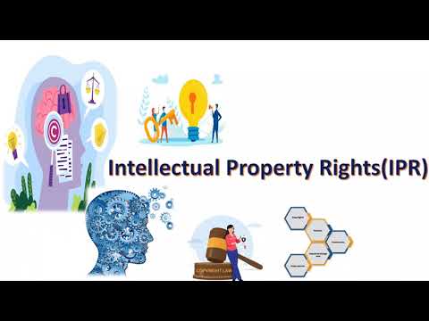 Kerala University|BCom |Second Semester |Informatics & Cyber Laws |Intellectual Property Rights(IPR)