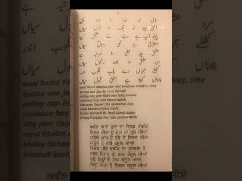 Heer-Waris Shah#heer#warisshah#jasbirjassi#gurdasmaan#punjabi#punjabipoetry#poetry#shorts#short#art