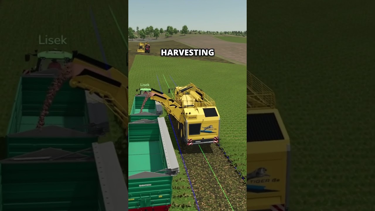 SUGAR BEETS are AMAZING