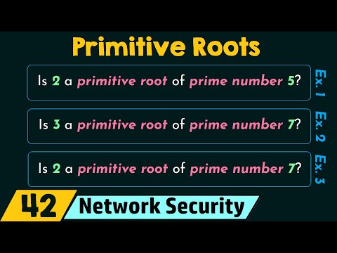 Primitive Roots