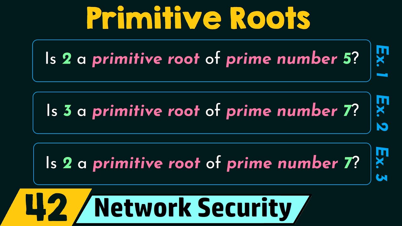 Primitive Roots in Network Security 🔐
