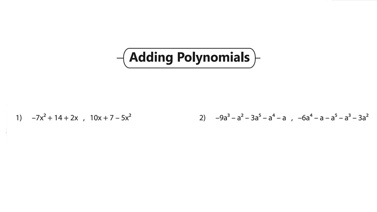 Polynomials: Addition & Subtraction 📚