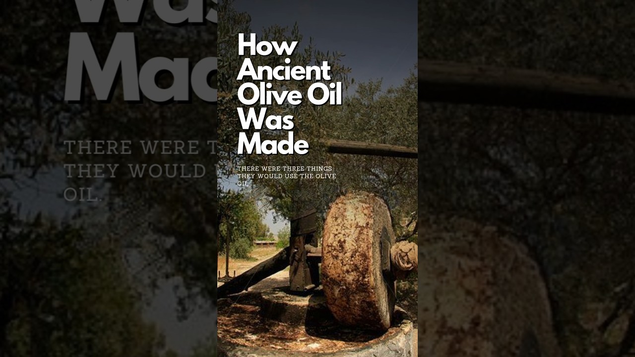 Ancient Olive Oil: History & Significance 🕰️
