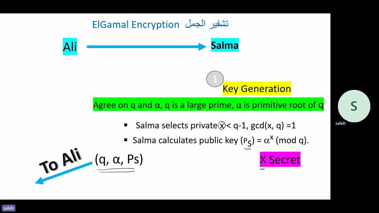 تشفير الجمل باستخدام خوارزمية ElGamal مع شرح خطوة بخطوة 🛡️