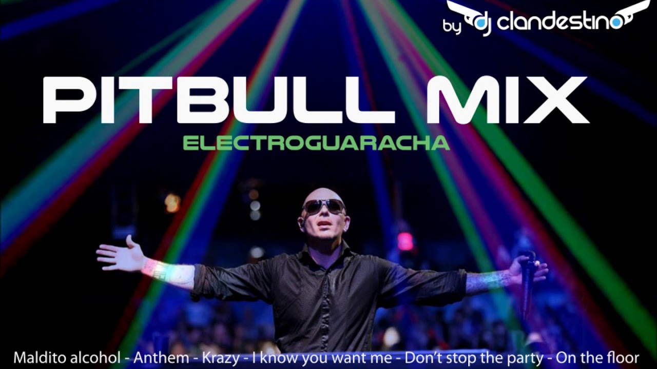 Pitbull Mix - Maldito Alcohol & Party Anthem 🎶