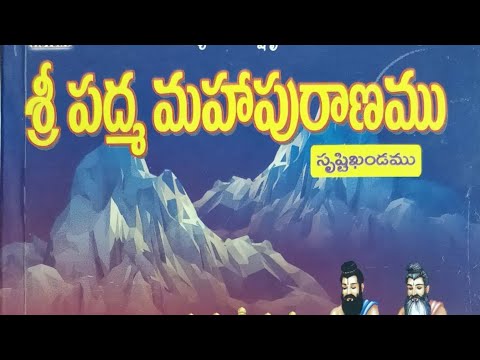 శ్రీ పద్మ మహాపురాణం సృష్టి ఖండము 11వ భాగం @MegaVasista 