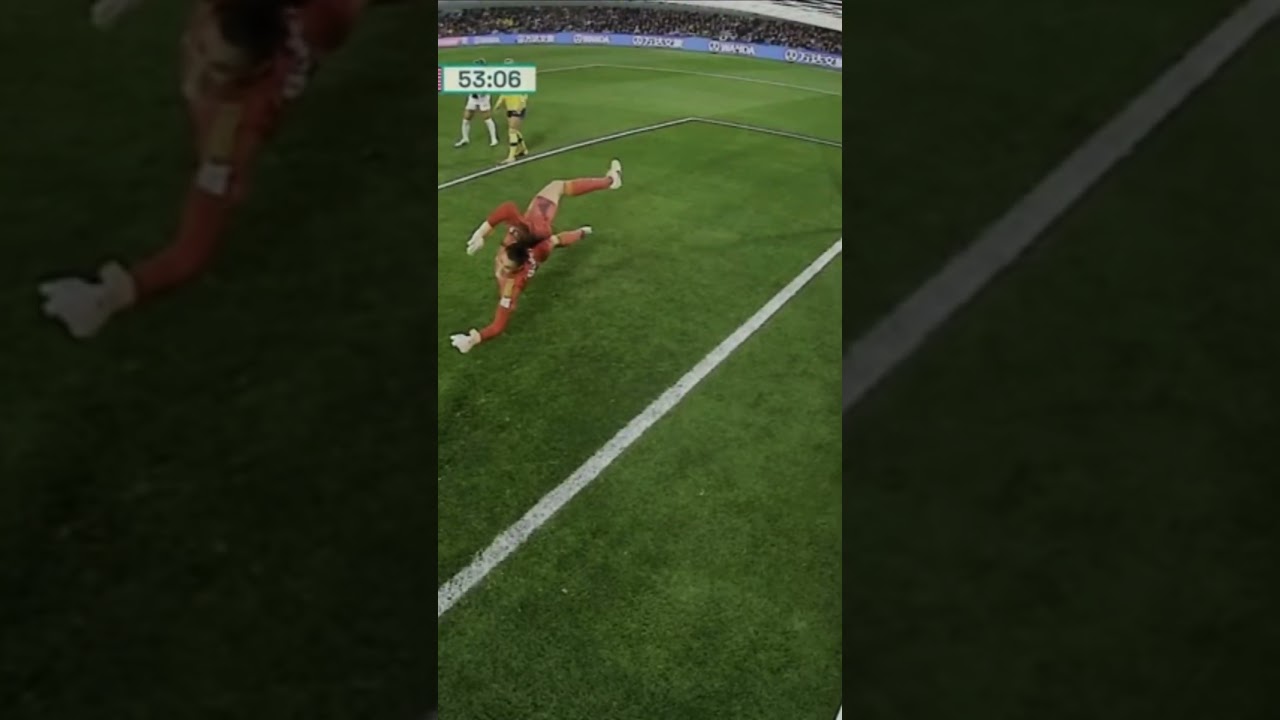 Sweden’s Goalkeeper Stuns US Team 🇸🇪