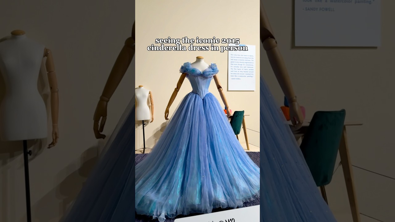 Seeing the 2015 Cinderella Dress in Person β¨