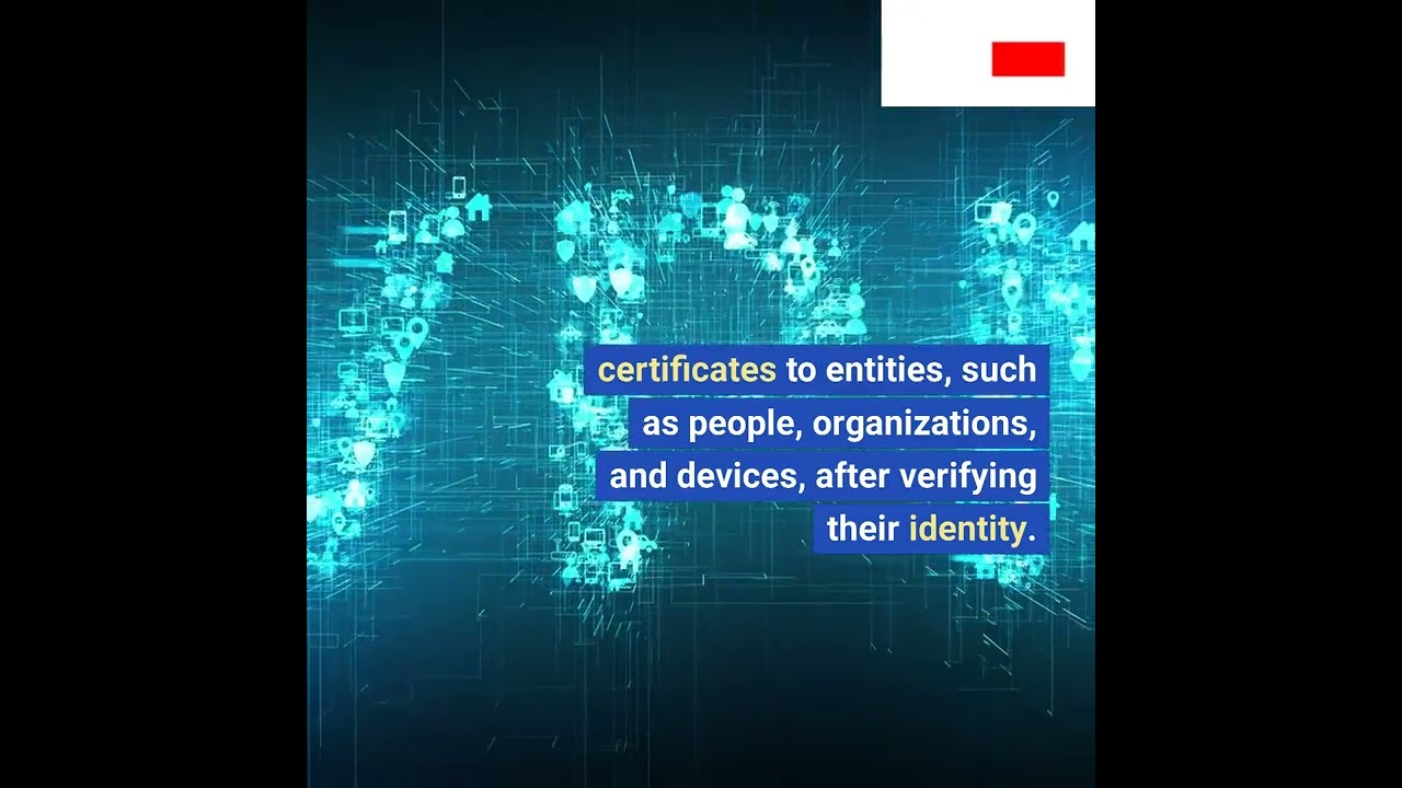 PKI IN ONE MINUTE #shorts #pki