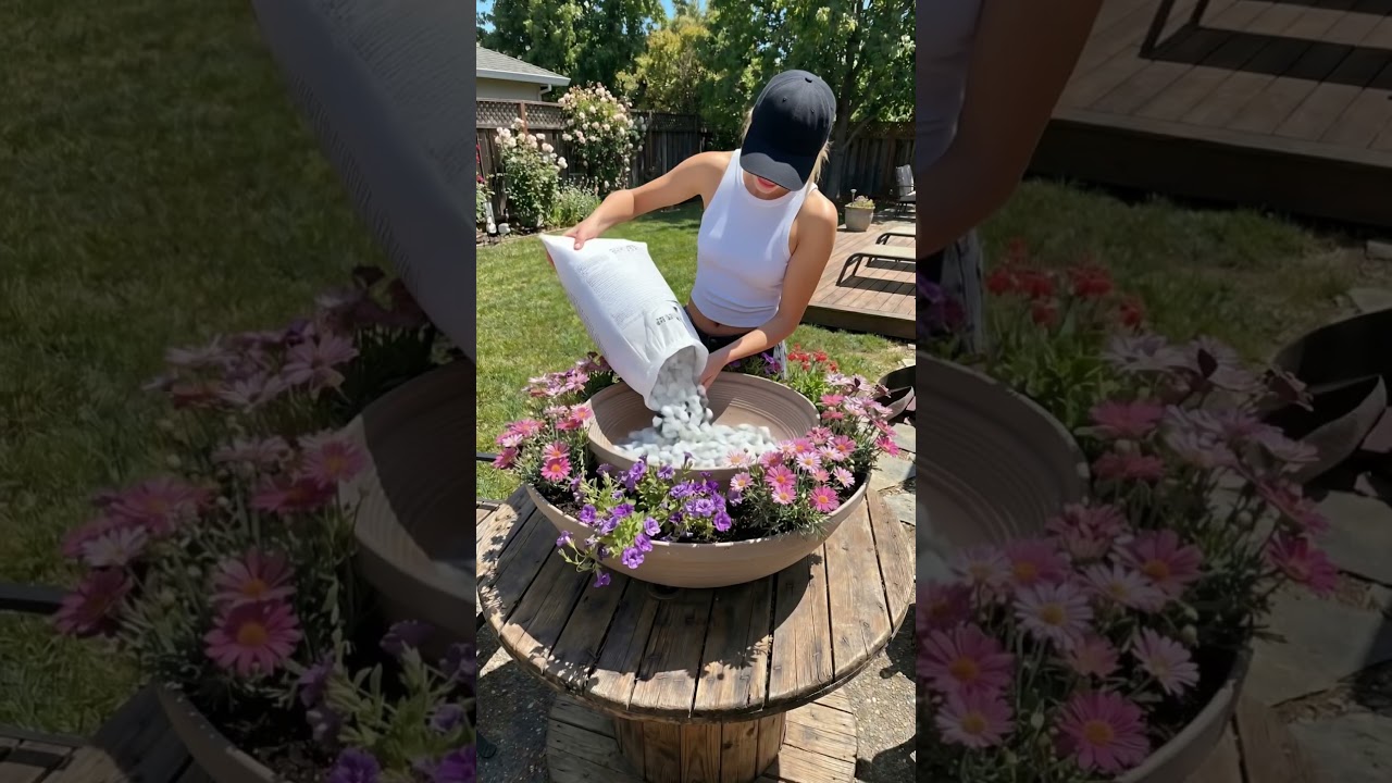 DIY Solar Garden Fountain 💧