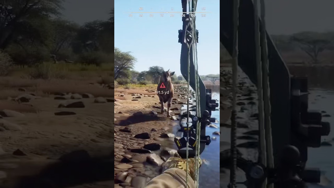 These New Common Eland Are Massive AND Aggressive!! #wayofthehunter