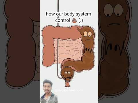 Try Not to Laugh Challenge - IMPOSSIBLE (You WILL Laugh!)Part-124#animation #cartoons #memes #comedy