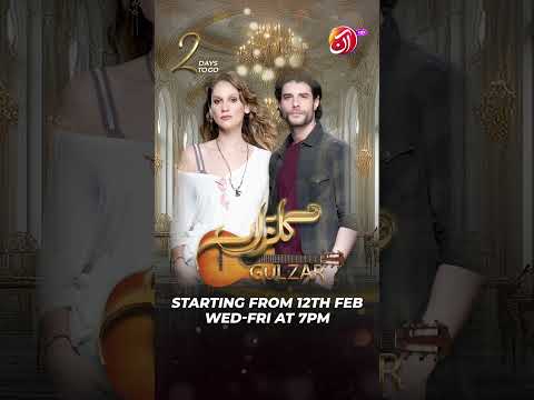 Gulzar - Only 2 Days Left! Premieres Feb 12th on Aan TV!