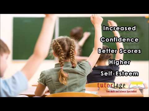 Math Tutor Science Tutor Algebra Calculus Chemistry Biology Private Tutor