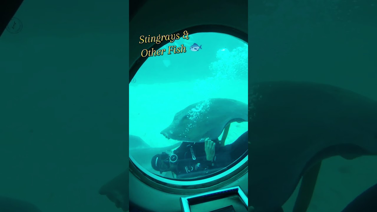 Submarine Adventure in Tenerife 🌊