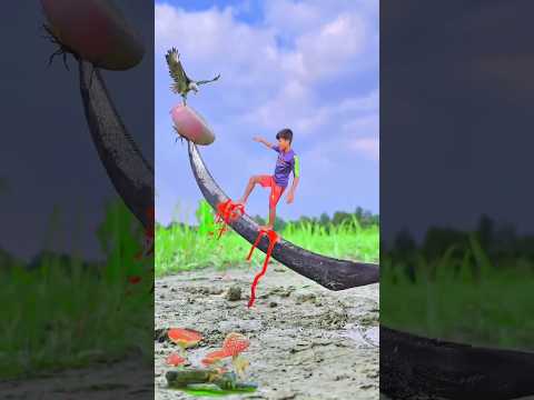 creative videography