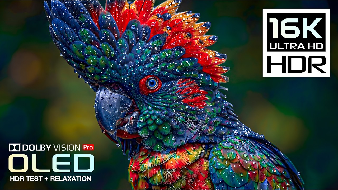 Never Ever Seen OLED HDR | 16K Nature Animals | Dolby Vision 120FPS (8K/4K Ultra hd TV)