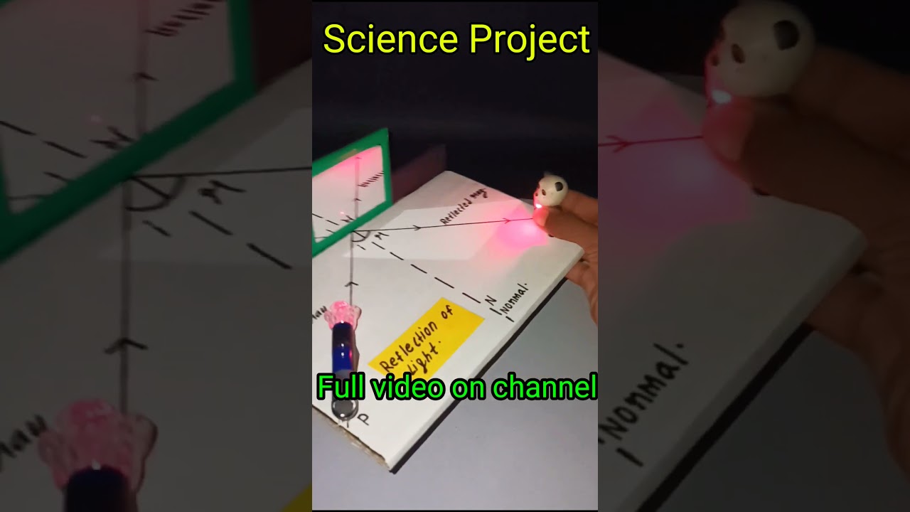 Light Reflection Science Project ✨