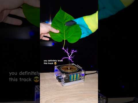🍃 Music Tesla Coil #leaf #power #experiment #plant