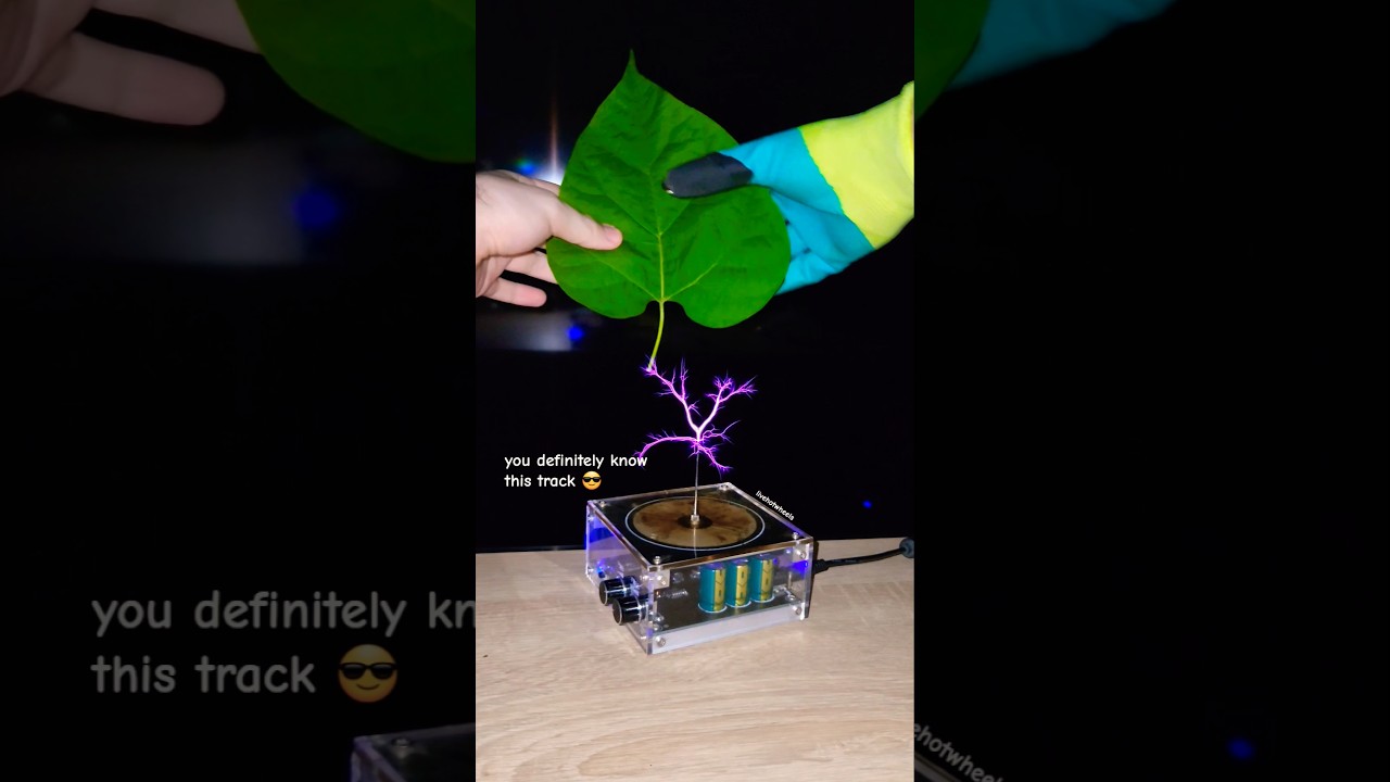 Watch a Leaf Power a Tesla Coil in This Amazing Experiment 🌿