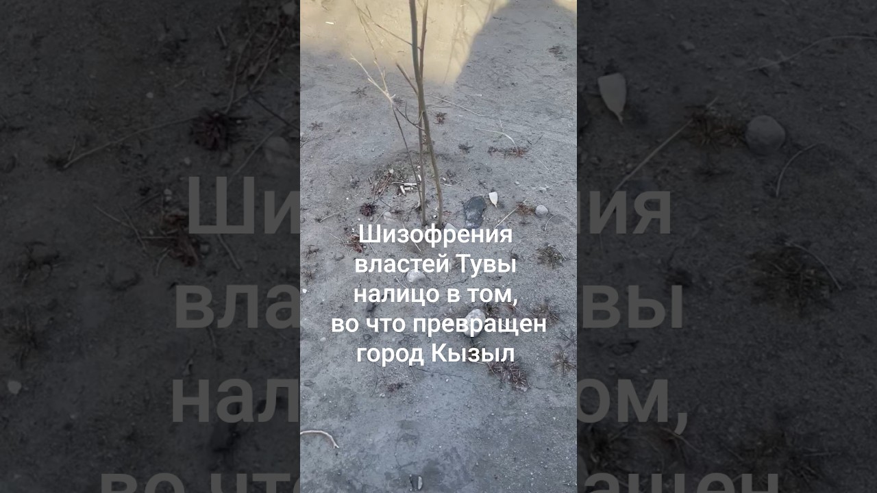 Так выглядит столица Тувы - пыль, грязь, убитые деревья и газоны