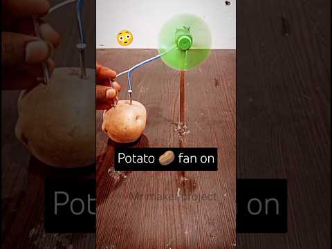 DIY Free Energy Generator Using Potato Power – Science Experiment! #shorts #mrmakerproject