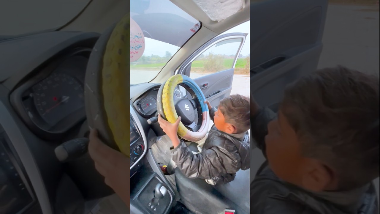 Fun Moments to Brighten Your Day