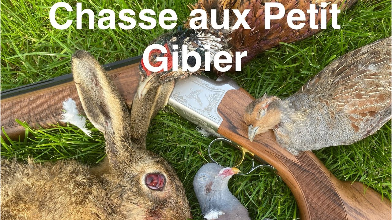Superbe Chasse aux Lièvres, Faisans, Perdrix et Pigeons 🦆 - Beaucoup d'Action et de Chance!