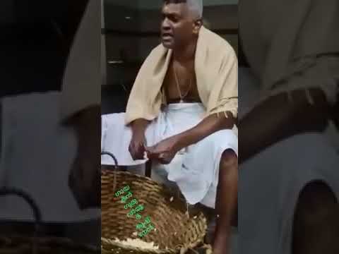 Guruvayoor Ekadasi Viral Song 🎶