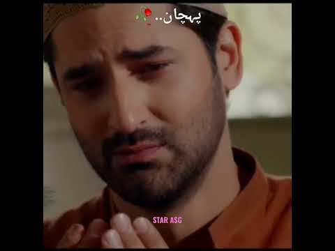 Hiba Bukhari😢Mirza Zain Baig🌿Best Whatsapp🌱Status #hibabukhari #mirzazainbaig #starasg #Shorts