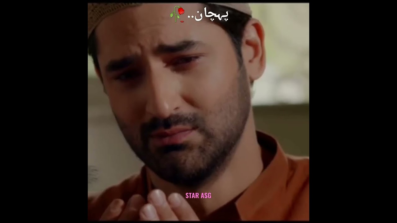 Hiba Bukhari & Mirza Zain Baig: Best WhatsApp Status 🌿 | Trending Short Video