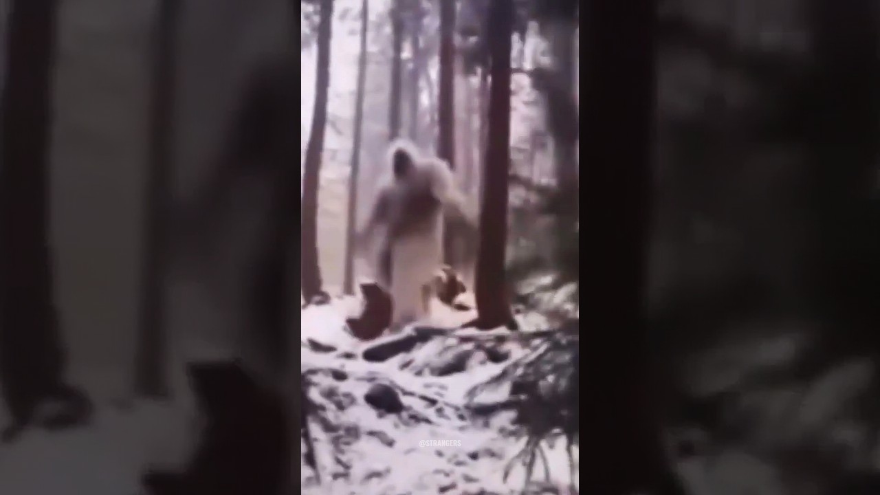 Unbelievable Footage of a Bigfoot / Yeti Caught on Camera! 😱