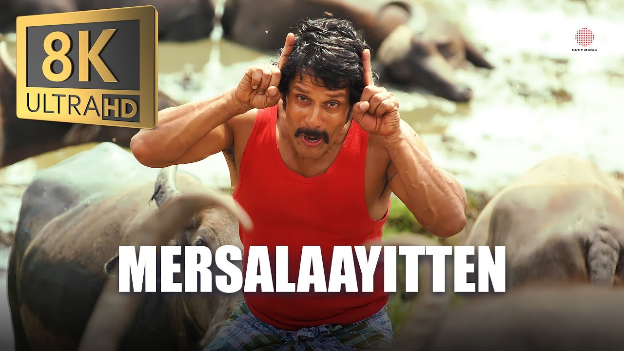 Mersalaayitten 8K/4K Video Song | A.R. Rahman 🎶